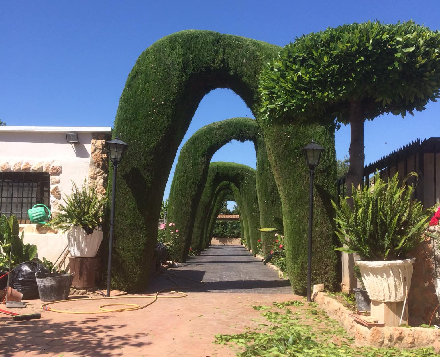 Jardineria Vicente Salcedo